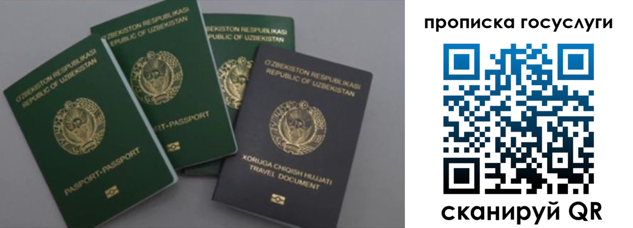 прописка гарантия в Смоленске